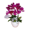Vase & Flower Basket V6.0